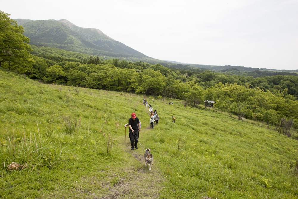 23日はウオーキングイベント野の道を行く！ | 黒川温泉公式サイト｜熊本・阿蘇の温泉地